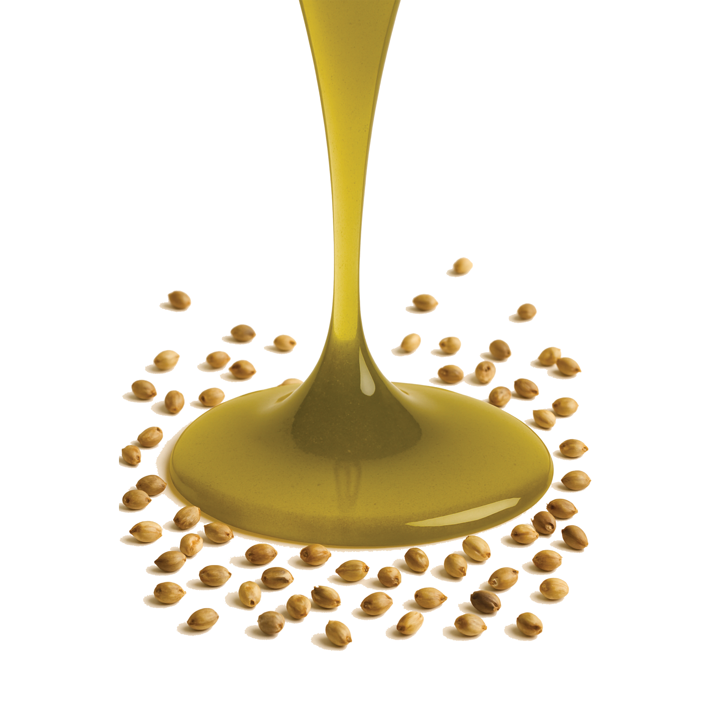 HEMP OIL -  Huile de chènevis